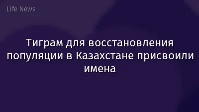 Тиграм для восстановления популяции в Казахстане присвоили имена