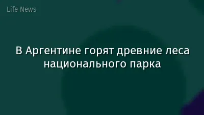 В Аргентине горят древние леса национального парка