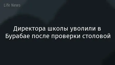 Директора школы уволили в Бурабае после проверки столовой