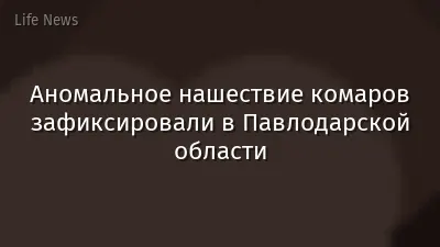 Аномальное нашествие комаров зафиксировали в Павлодарской области