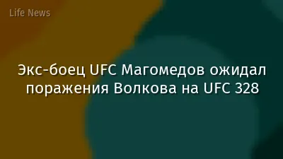 Экс-боец UFC Магомедов ожидал поражения Волкова на UFC 328