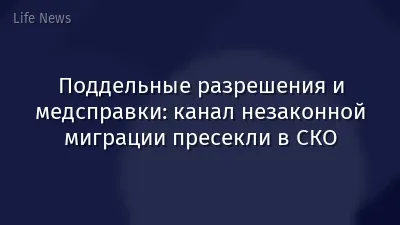 Поддельные разрешения и медсправки: канал незаконной миграции пресекли в СКО