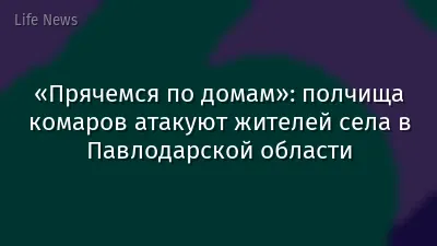 «Прячемся по домам»: полчища комаров атакуют жителей села в Павлодарской области