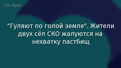 "Гуляют по голой земле". Жители двух сёл СКО жалуются на нехватку пастбищ