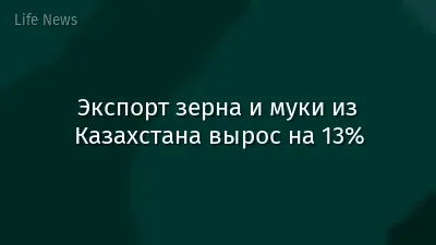 Экспорт зерна и муки из Казахстана вырос на 13%
